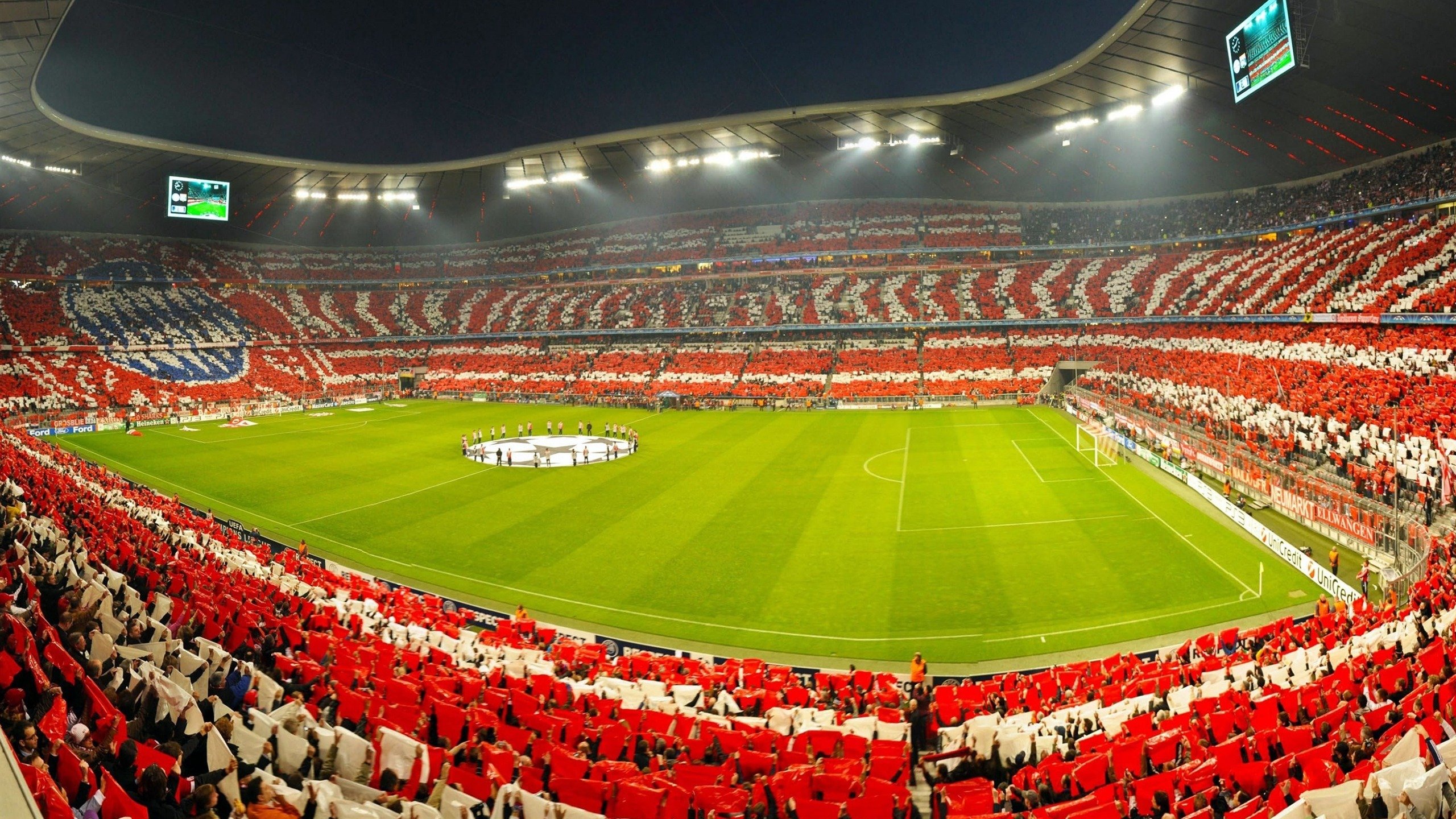 阿根廷诞生世界首批基因编辑马匹,提升马球速度,推动马术科技发展。