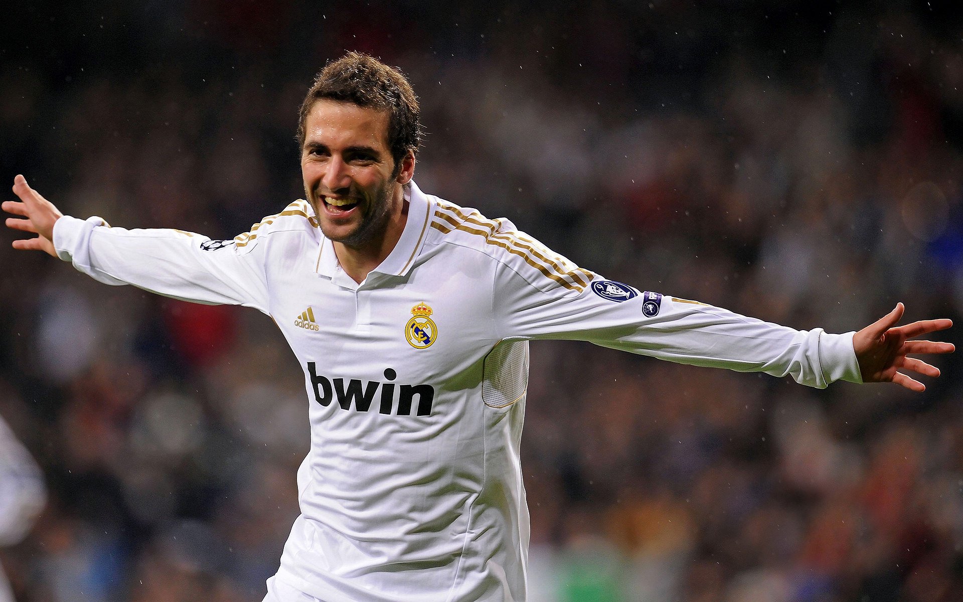 伊朗马术协会与国际马术联合会合作,举办国际马术交流活动,促进技术交流。