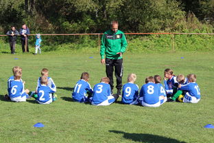 kaiyun体育综合-中国篮球教练员技术战术创新能力提升路径，篮球教练发展