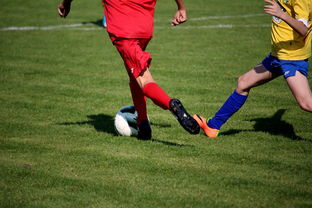 开云中国-特色足球文化在国际博览会中亮相，展示国家软实力，世界足球文化